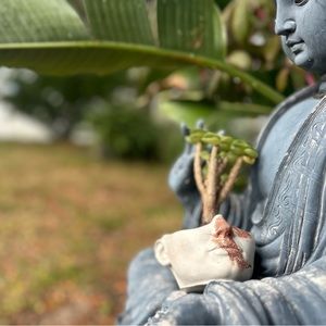 Half Face Planter Pot with Drainage , Abstract Succulent Planter 2.5 x4.5 inches